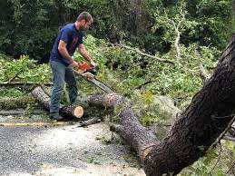 Best Hedge Trimming  in Tonkawa, OK