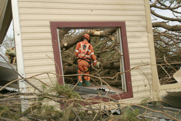 How Our Tree Care Process Works  in  Tonkawa, OK