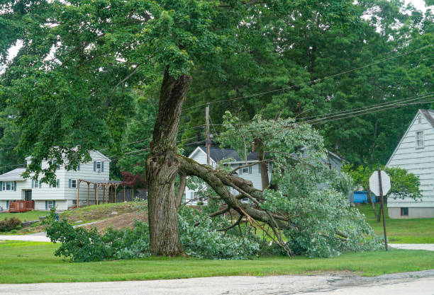 Best Tree and Shrub Care  in Tonkawa, OK
